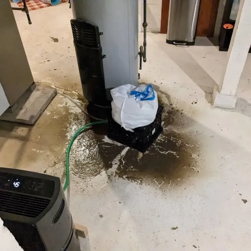 Sewage Backup Cleanup Service in Alamo, NV